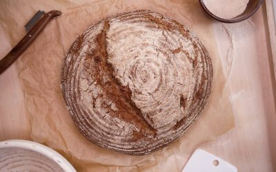 Basic Voll­korn-Sau­er­teig­brot