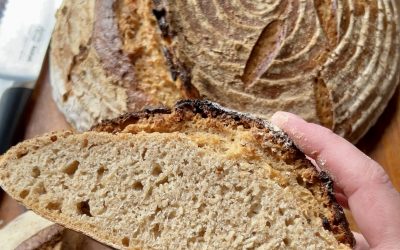 Sau­er­teig­brot mit Auto­ly­se­teig
