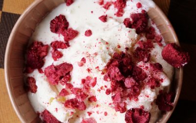 Fro­zen Yogurt