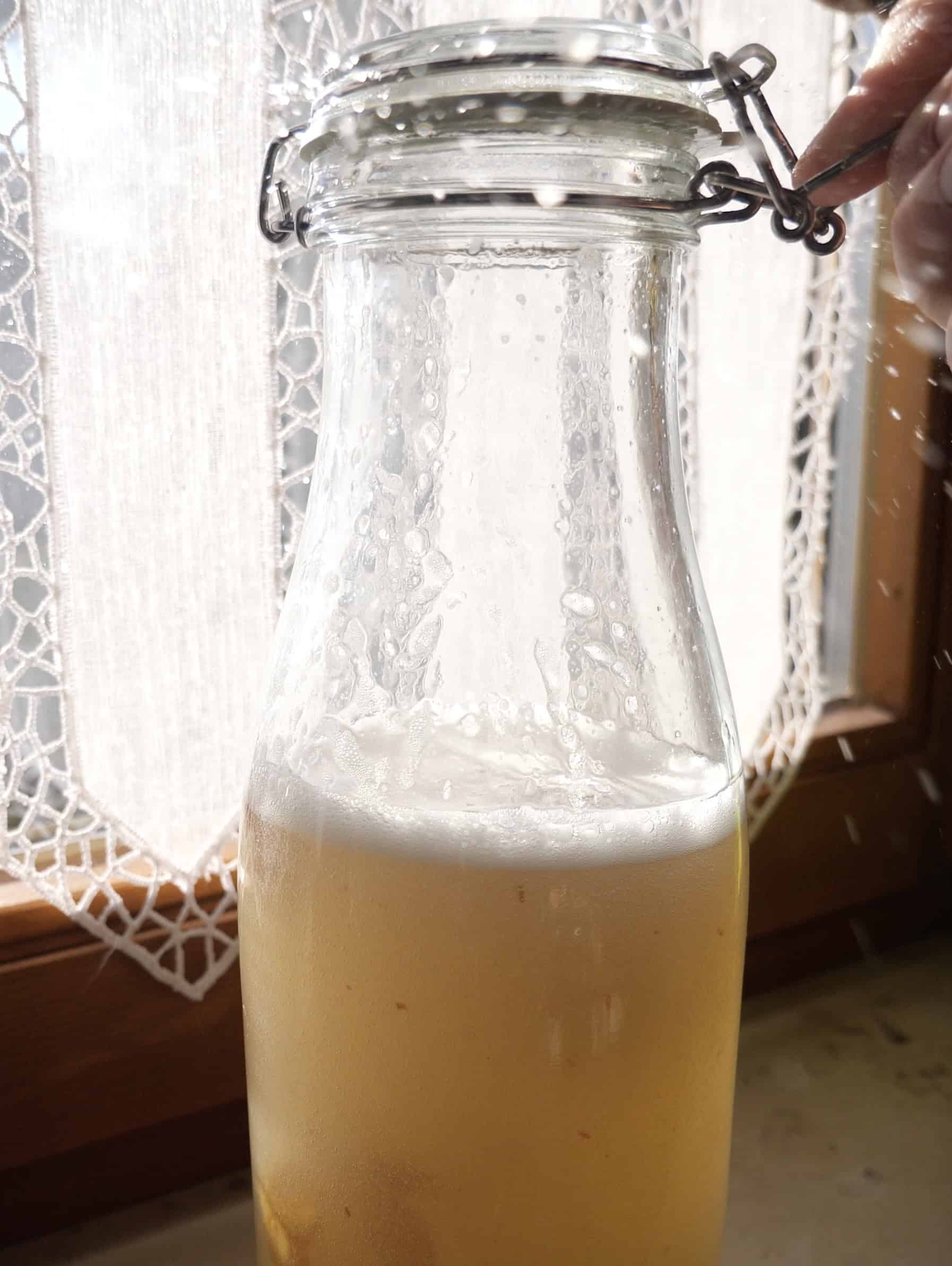 Vinasse Selbst Herstellen