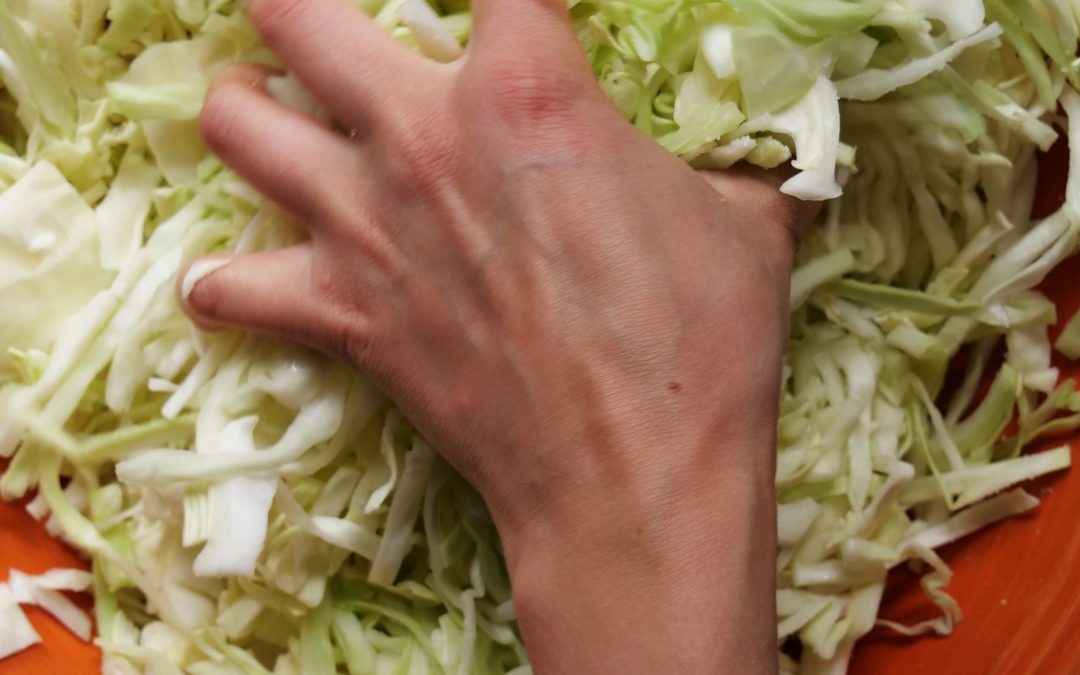 Startseite 30 Sauerkraut selber machen – eines der ältesten Fermente der Welt