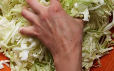Sau­er­kraut sel­ber machen – eines der ältes­ten Fer­men­te der Welt
