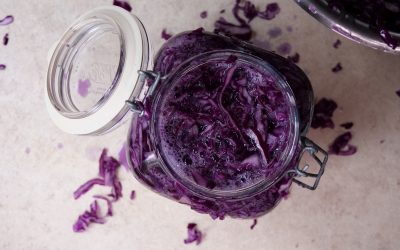 Prinzessinnenkraut – fermentierter Rotkohl